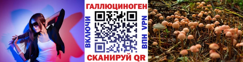 Псилоцибиновые грибы мухоморы Каспийск